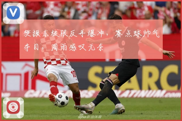 樊振东极限反手爆冲，赛点球帅气夺目，周雨感叹无奈