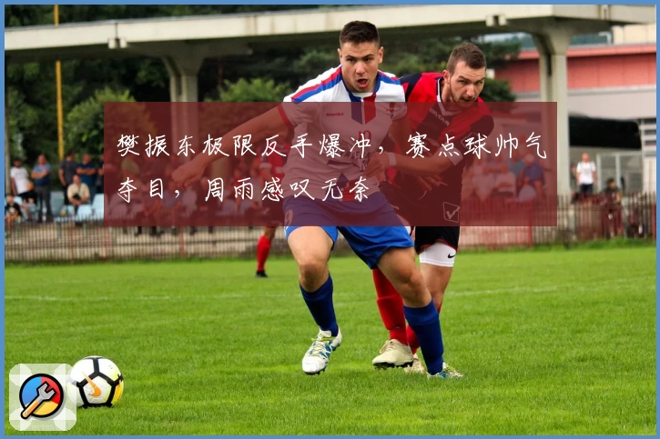 樊振东极限反手爆冲，赛点球帅气夺目，周雨感叹无奈