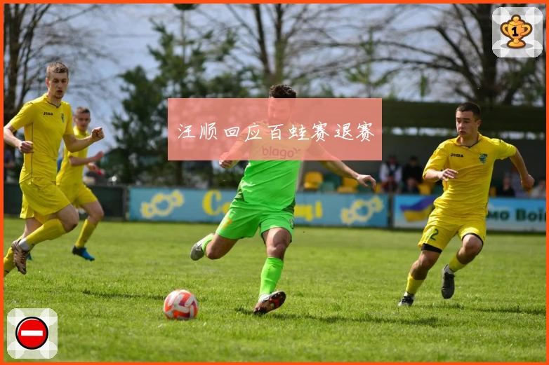 汪顺回应百蛙赛退赛