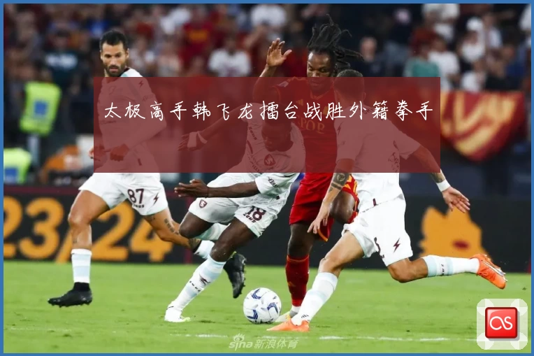 太极高手韩飞龙擂台战胜外籍拳手